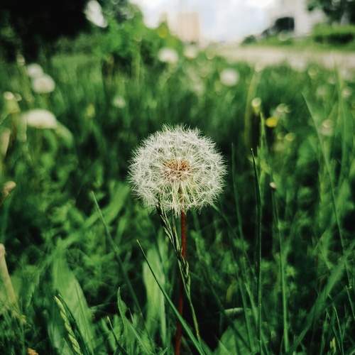 Photo #13618213