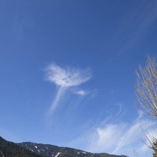 Photo #13618281