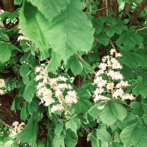 Photo #13618285