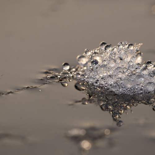 Photo #13618294