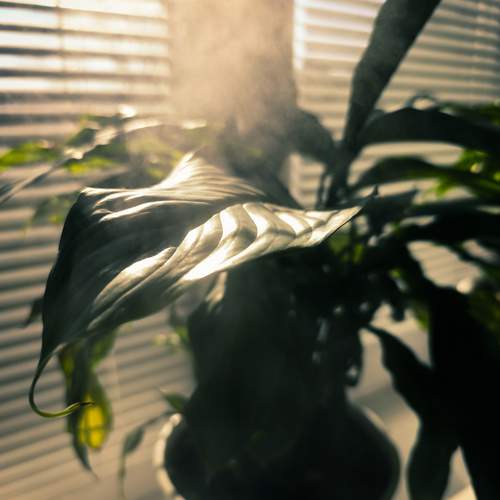 Photo #13618388