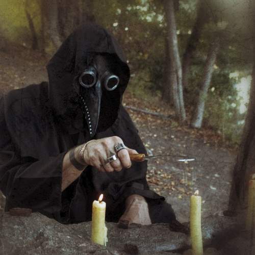 Photo #13618409
