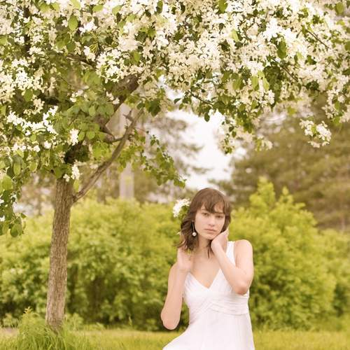 Photo #13618412