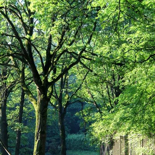 Photo #13618524