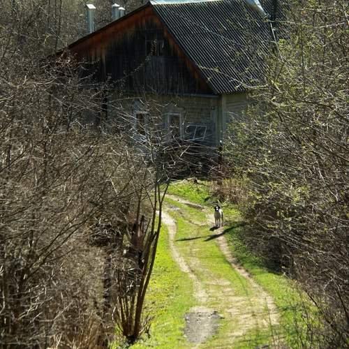 Photo #13618531