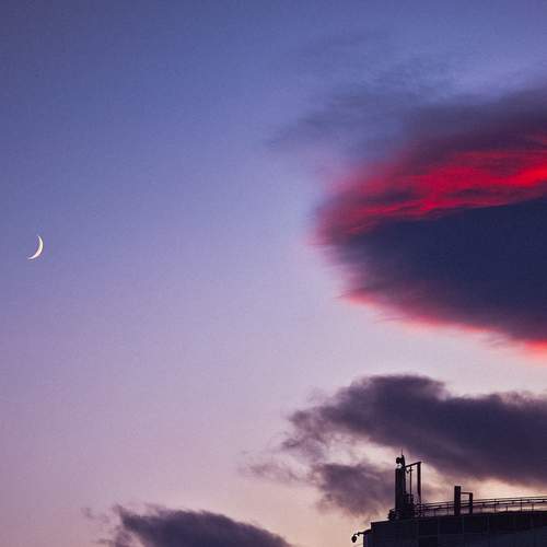 Photo #13618593