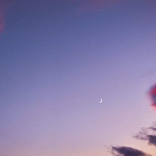 Photo #13618594
