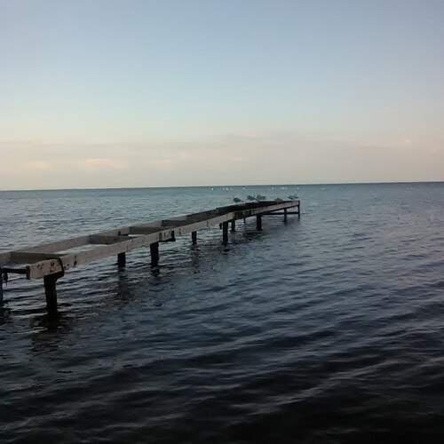 Photo #13618743