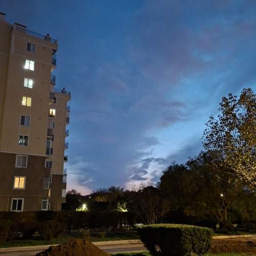 Photo #13618772