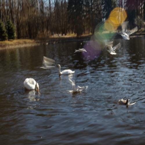 Photo #13618869