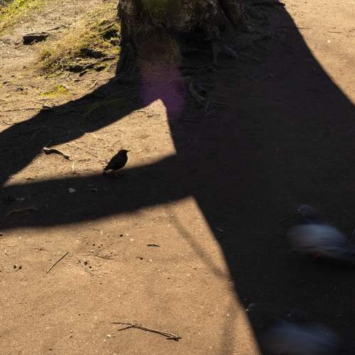 Photo #13618872