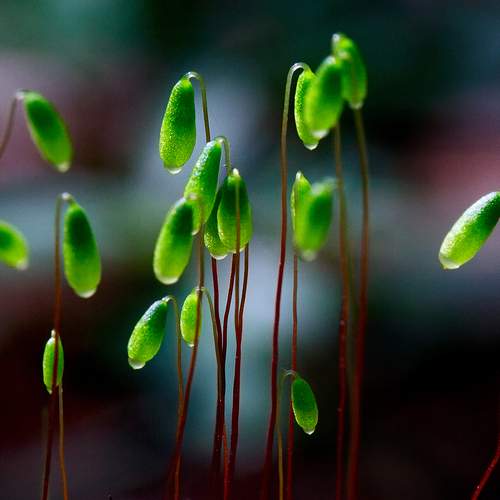 Photo #13618957