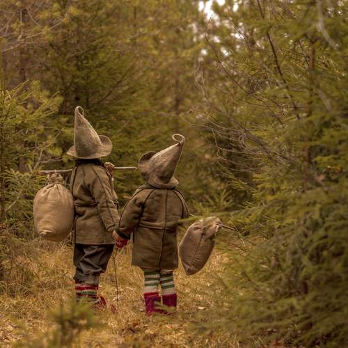 Photo #13618960