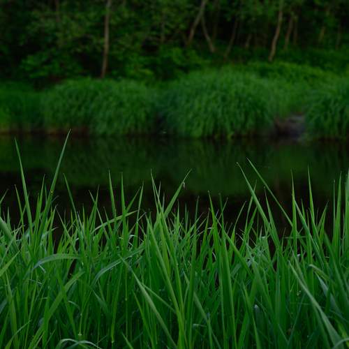 Photo #13618980