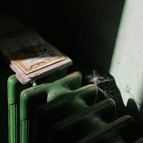 Photo #13619065