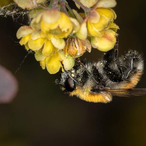 Photo #13619070