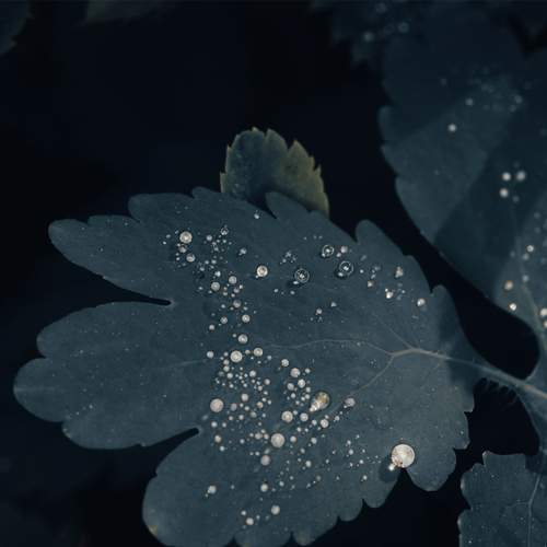 Photo #13619072