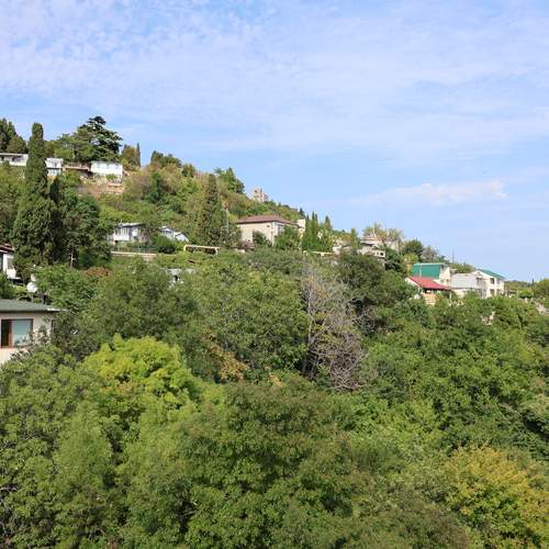 Photo #13619101