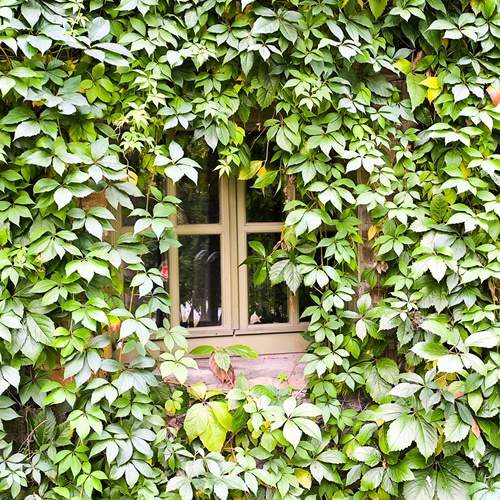 Photo #13619136