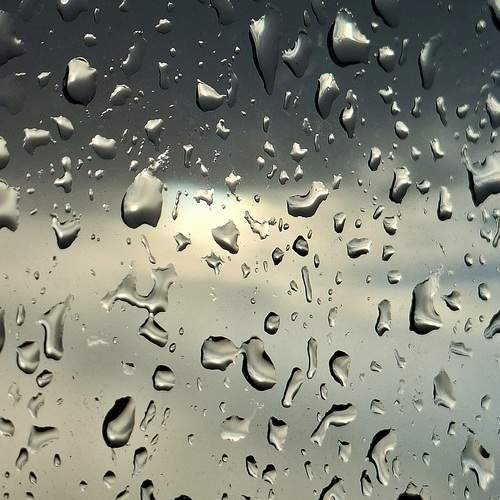 Photo #13619293