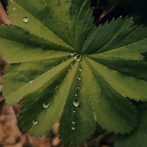 Photo #13619303