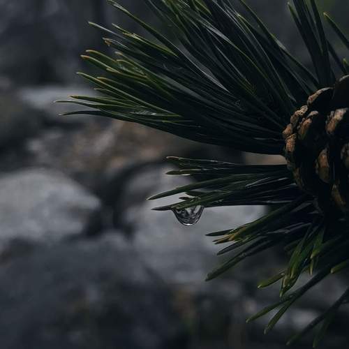 Photo #13619304