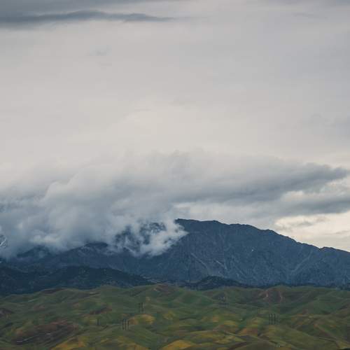 Photo #13619370