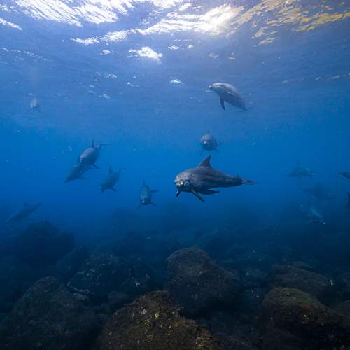 Photo #13619383