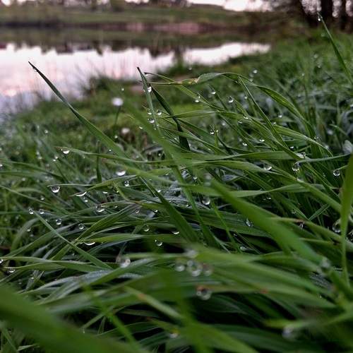 Photo #13619422