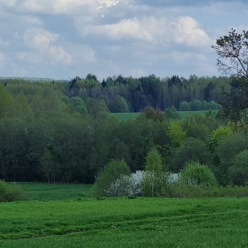 Photo #13619423