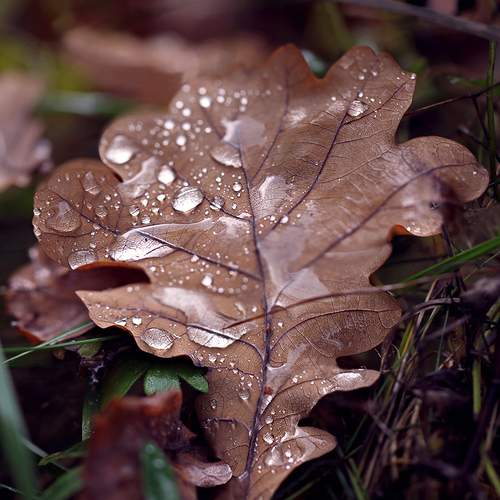 Photo #13619442