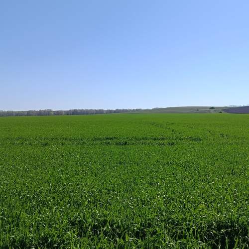Photo #13619481