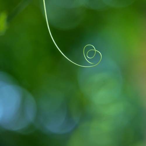Photo #13619622