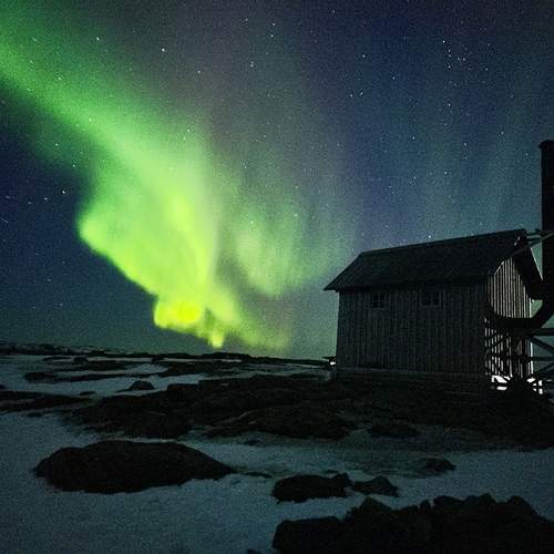 Photo #13619647