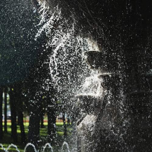 Photo #13619729