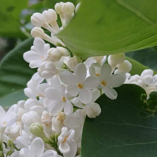 Photo #13619904