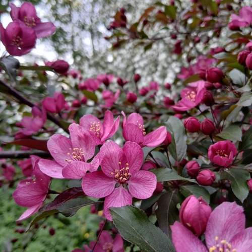 Photo #13619907