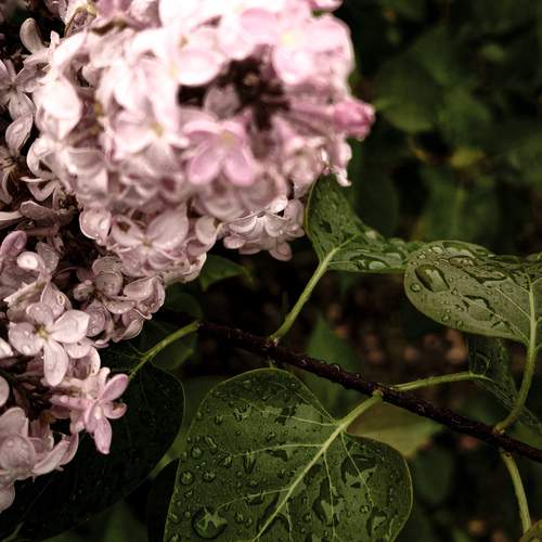 Photo #13619939
