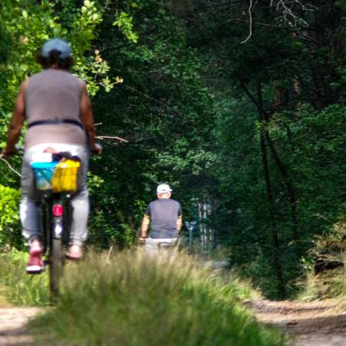 Photo #13619945