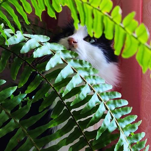 Photo #13619999
