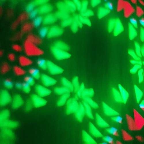 Photo #13620001