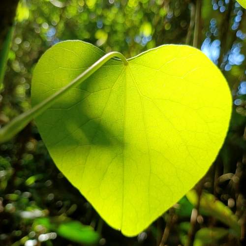 Photo #13620012