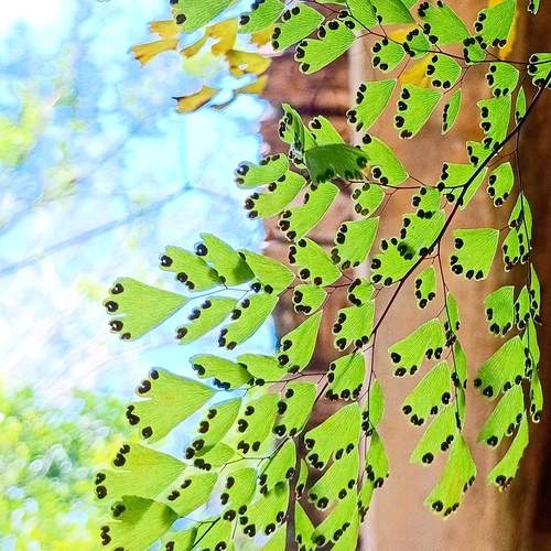Photo #13620013