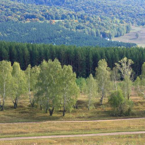 Photo #13620025