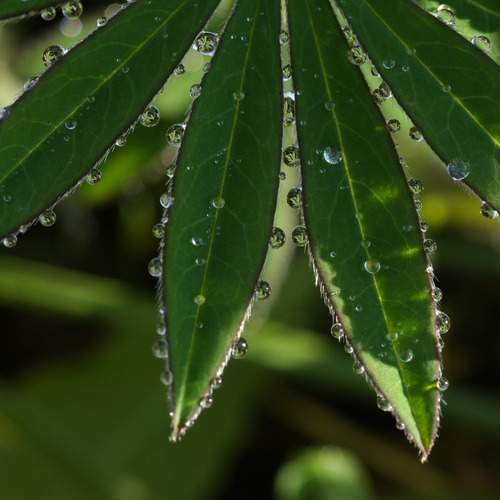 Photo #13620027