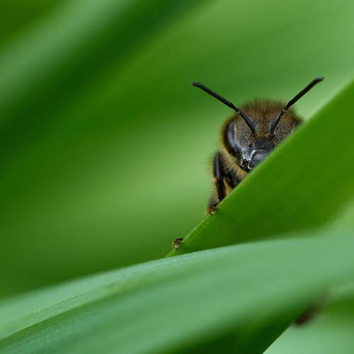 Photo #13620094