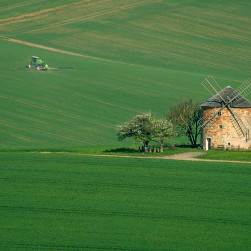 Photo #13620097