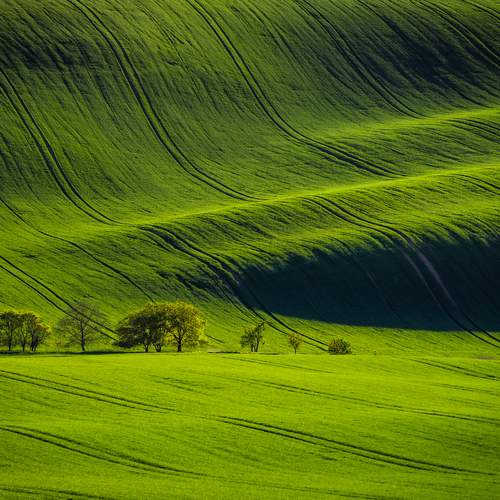 Photo #13620102