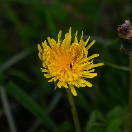 Photo #13620203