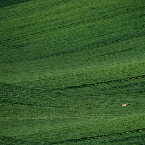 Photo #13620218
